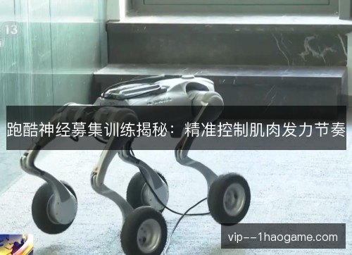 跑酷神经募集训练揭秘:精准控制肌肉发力节奏 跑酷神经募集训练揭秘:精准控制肌肉发力节奏